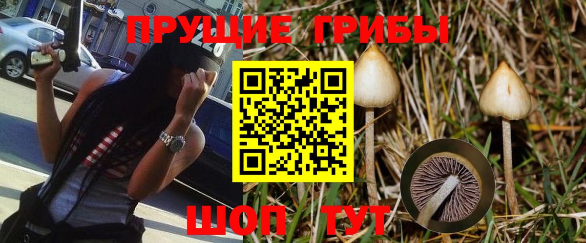 Псилоцибиновые грибы Magic Shrooms  Вход с VPN  Мегион 