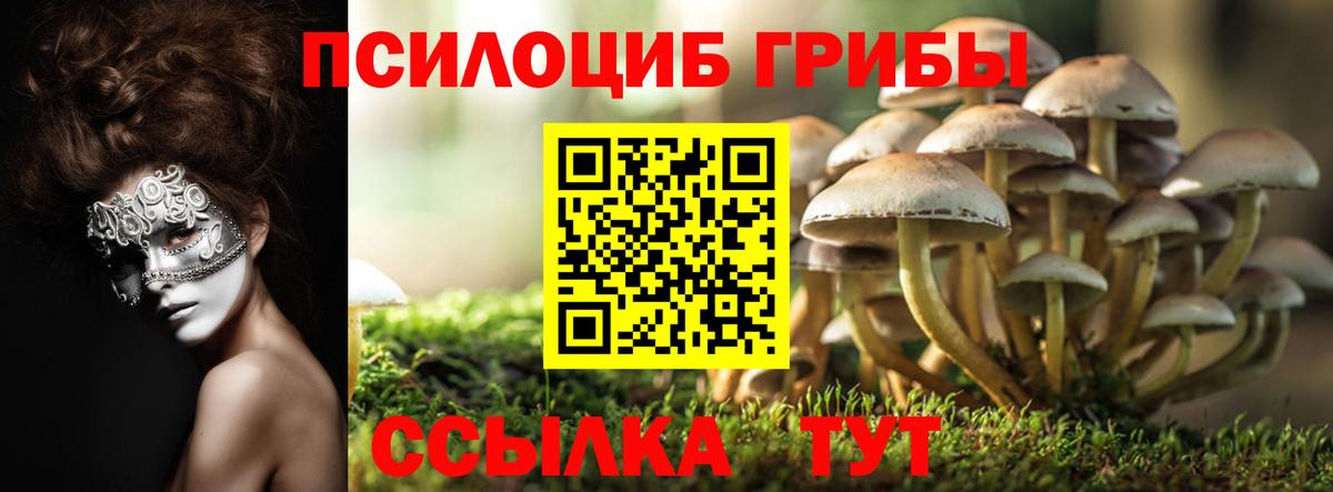Галлюциногенные грибы ЛСД Мегион